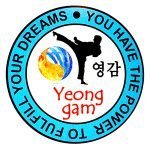 Johnstownbridge – Yeong-gam taekwondo